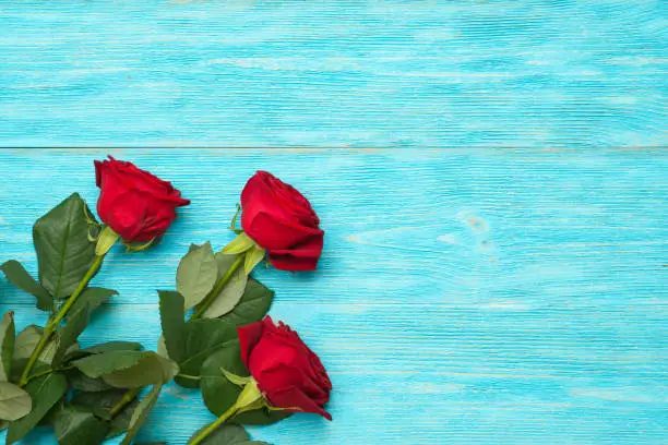 red and white roses over blue wood planks