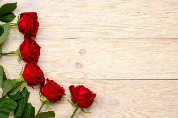 5 red roses over white rustic wood planks