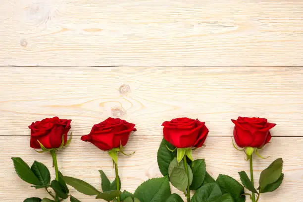 4 red roses in row over white rustic wood planks