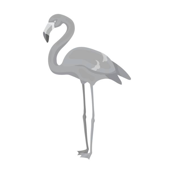 ikona flamingo w stylu monochromatycznym izolowana na białym tle. ilustracja wektorowa z symbolem ptaka. - flamingo hilton stock illustrations
