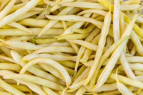 istock Background of yellow string beans inside pods 683695398