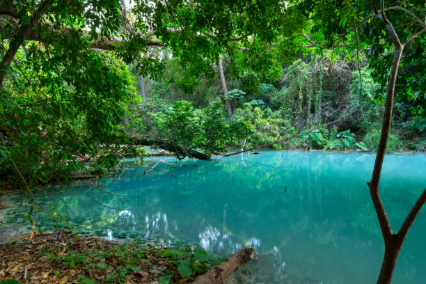 istock Turquoise blue water in Chiapas, Mexico jungle 683709216