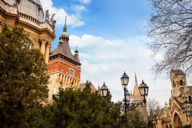 Vajdahunyad castle in Hungary,Budapest at sunny day
