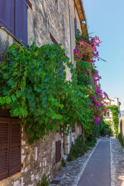 istock picturesque alley in Saint-Paul-de-Vence 683725468