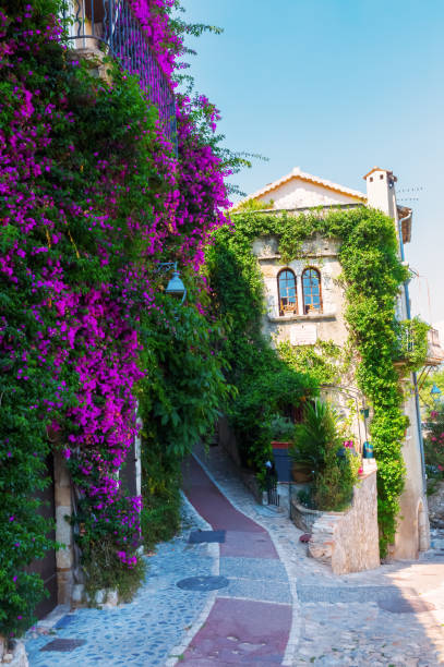 istock picturesque alley in Saint-Paul-de-Vence 683725562