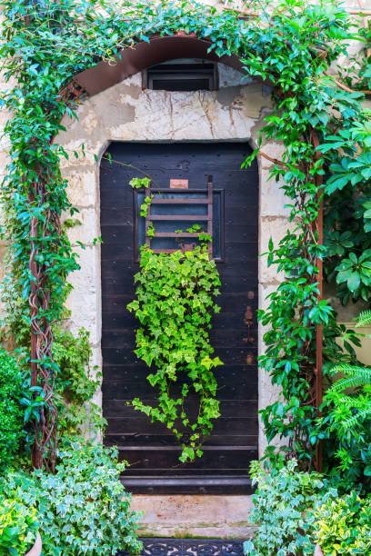 istock door with climbing plants in Saint-Paul-de-Vence 683725664