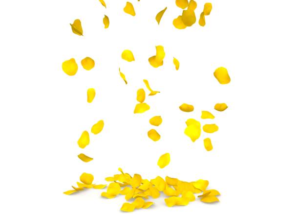 istock Yellow rose petals flying on the floor 683726274