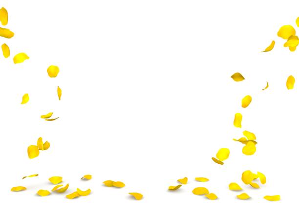 istock Yellow rose petals flying on the floor 683726318