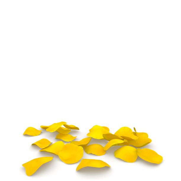 istock Yellow rose petals flying on the floor 683726378