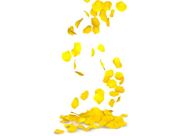 istock Yellow rose petals flying on the floor 683728466