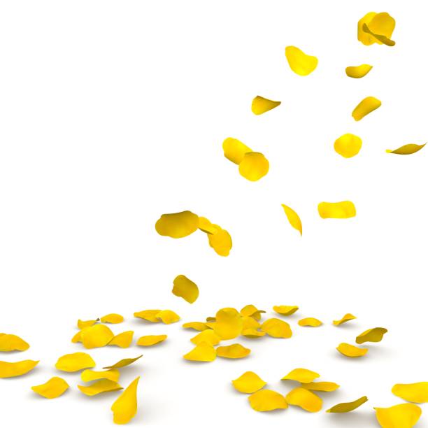 istock Yellow rose petals flying on the floor 683728532
