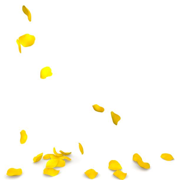 istock Yellow rose petals flying on the floor 683728562