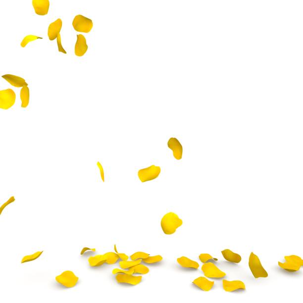 istock Yellow rose petals flying on the floor 683728614