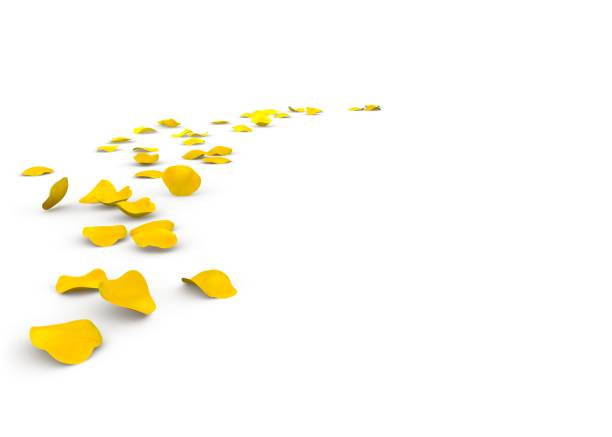 istock Rose petals lying on the floor 683728642