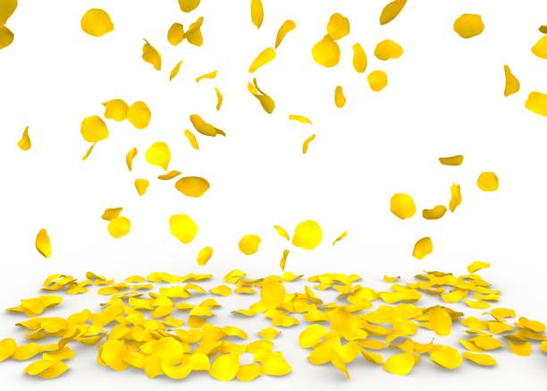 istock Rose petals fall to the floor 683728914