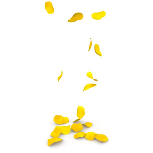 istock Yellow rose petals flying on the floor 683728954