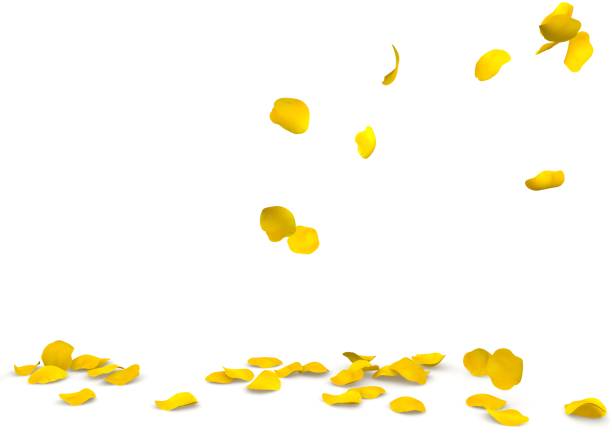 istock Yellow rose petals flying on the floor 683729212
