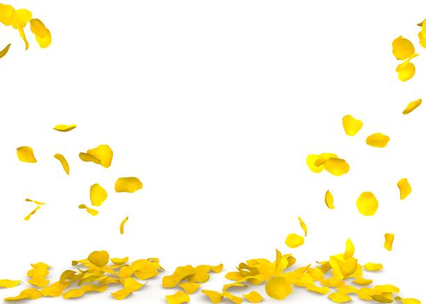 istock Yellow rose petals flying on the floor 683729444