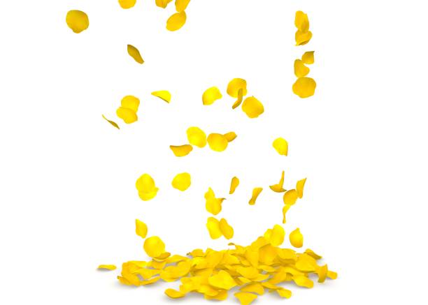 istock Yellow rose petals flying on the floor 683729800