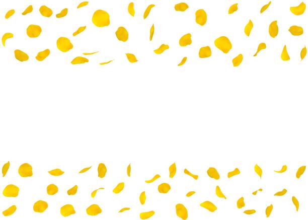 istock Rose petals fall to the floor 683730046