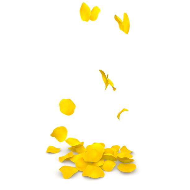 istock Yellow rose petals flying on the floor 683730094