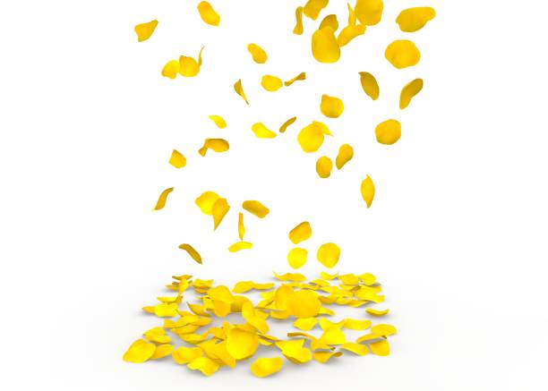 istock Rose petals fall to the floor 683730184