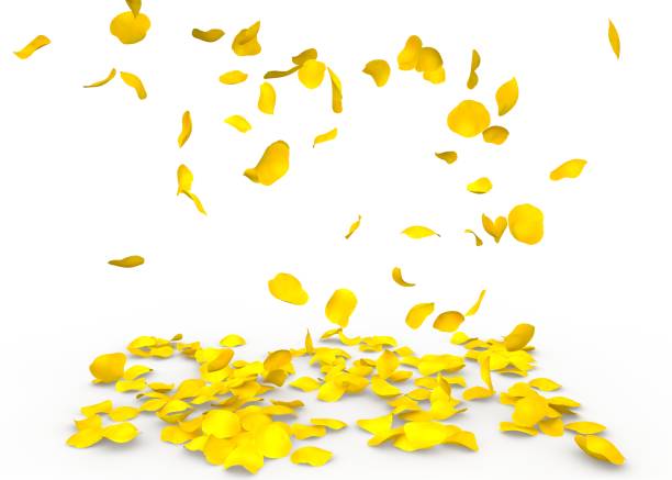 istock Rose petals fall to the floor 683730360