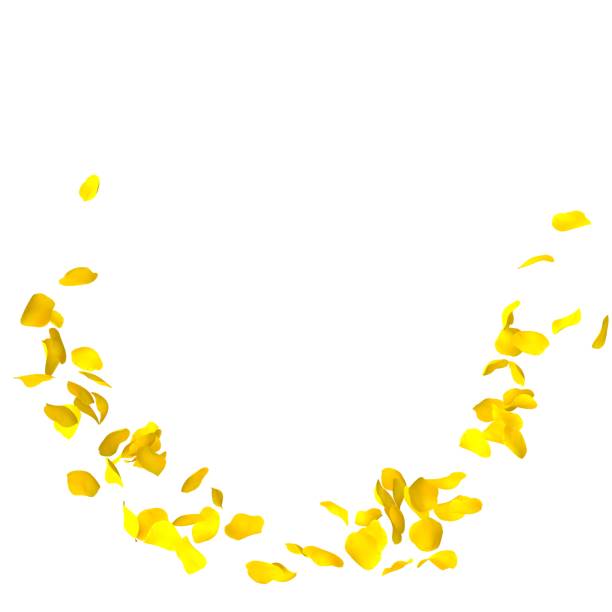 istock Petals yellow roses are flying in a circle on isolated white background 683730504