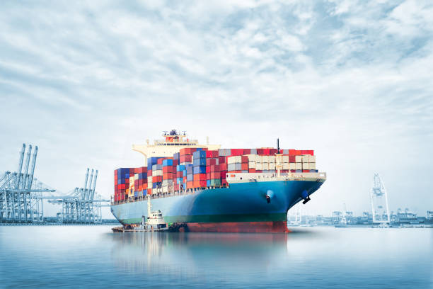 contesto di esportazione delle importazioni logistiche della nave container cargo nel porto marittimo sul cielo blu, trasporto merci - blue bulk business cargo container foto e immagini stock