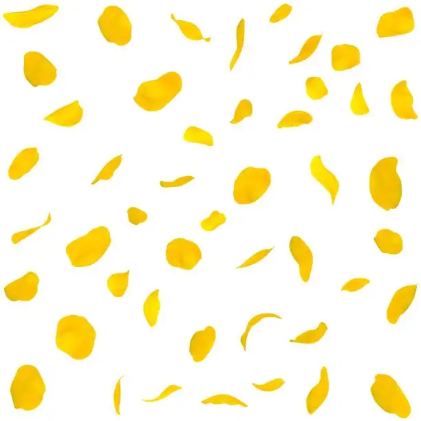Seamless texture of yellow rose petals. Isolated background