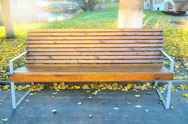 istock Wooden bench in the autumn park 683740626