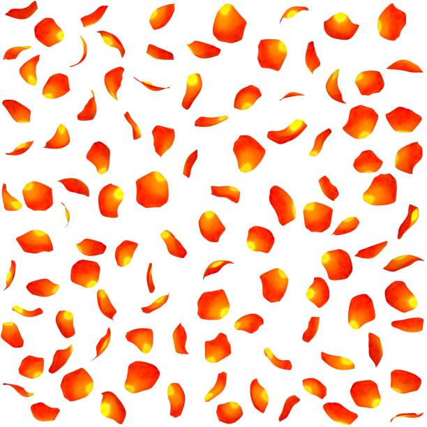 istock Texture of orange rose petals 683743682