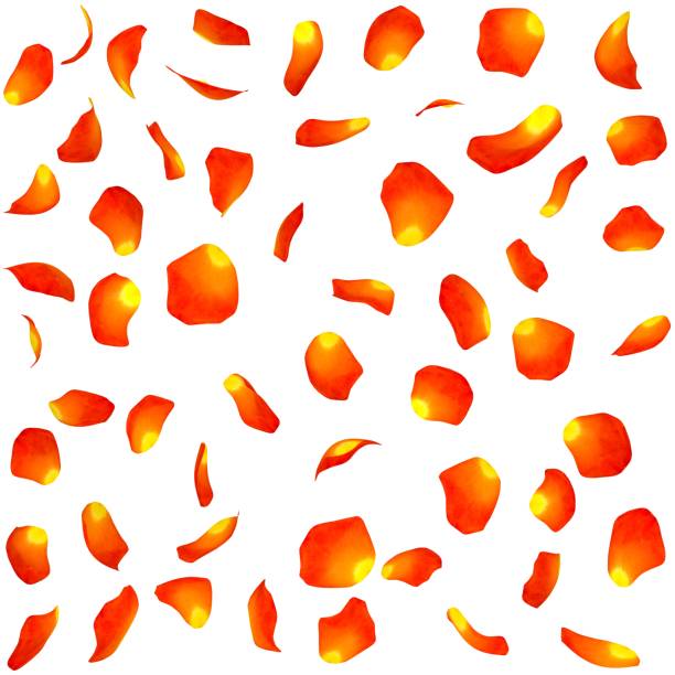 istock Texture of orange rose petals 683744030
