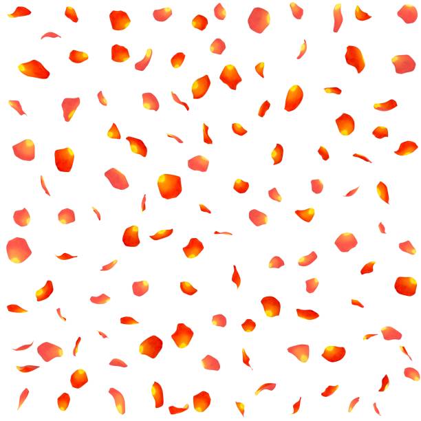 istock Seamless texture of orange rose petals 683744132