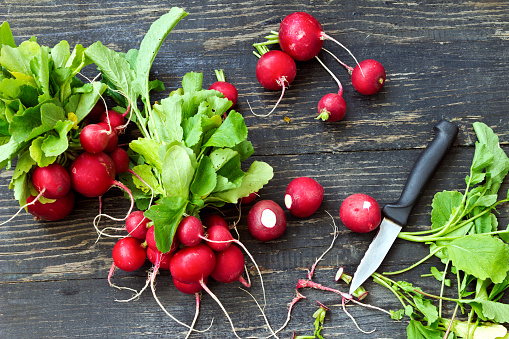 Organic grown red radishes -prepares for food