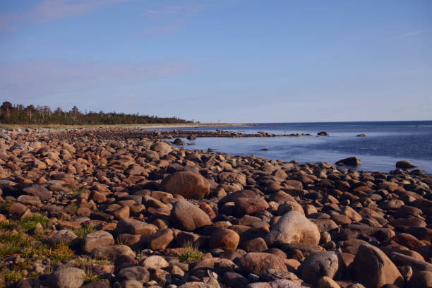 istock Stone beaches of the White Sea 683754988