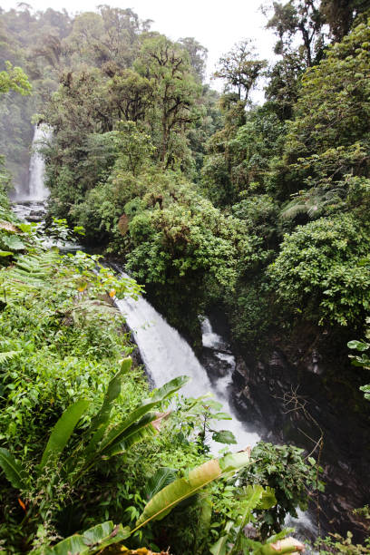 istock La Paz Waterfall, Costa Rica 683757624