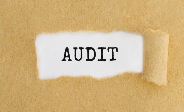 istock Text Audit appearing behind ripped brown paper 683758264