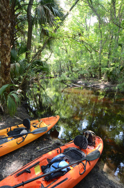 istock Two kayaks on jungle river bank 683762108