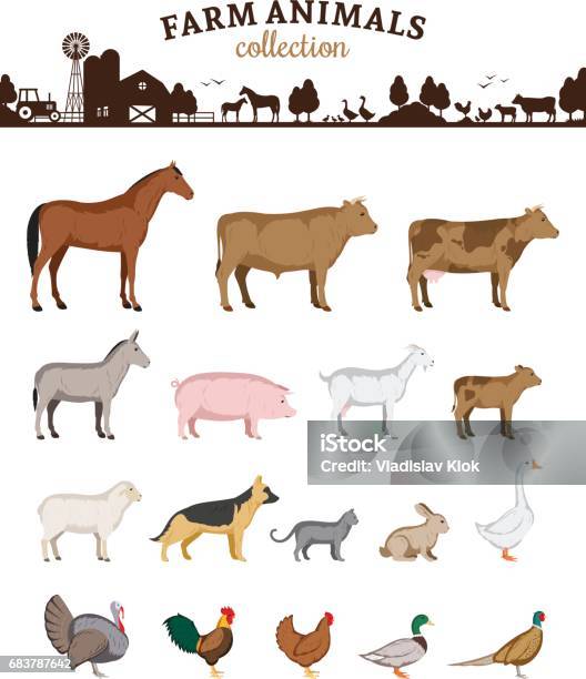 ベクトル ファーム動物漫画 - 家畜のベクターアート素材や画像を多数ご用意 - 家畜, ブタ, 農園