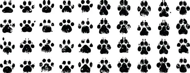 Vector illustration of Cat and Dog Prints