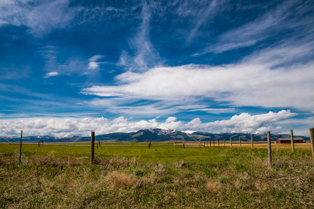istock Field of dreams 683789994