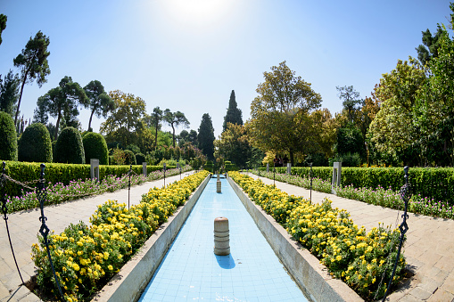 Bagh-e Eram (Eram Garden), one of the oldest and the most beautiful gardens of Shiraz, is located along the northern shore of Khoshk River.
