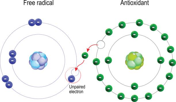 illustrations, cliparts, dessins animés et icônes de radicaux libres et antioxydants. - atom molecule electron molecular structure