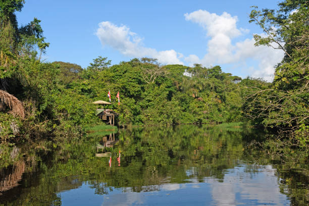 istock Remote Research Station in the Rain Forest 683805376