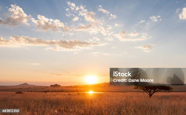 Sonnenuntergang Über Den Afrikanischen Flachland Stockfoto und mehr Bilder von Afrika - Afrika, Sonnenuntergang, Republik Südafrika