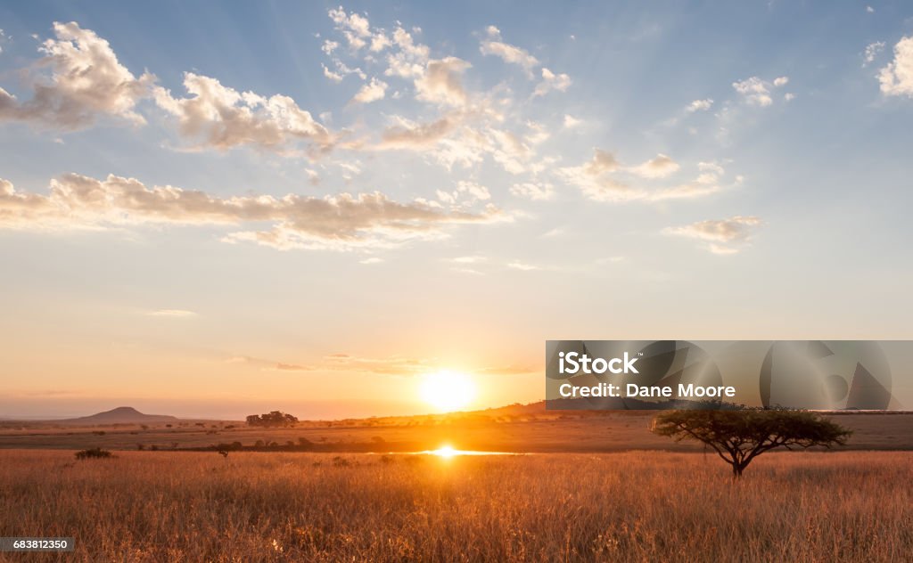 Pôr do sol sobre as planícies africanas - Foto de stock de África royalty-free