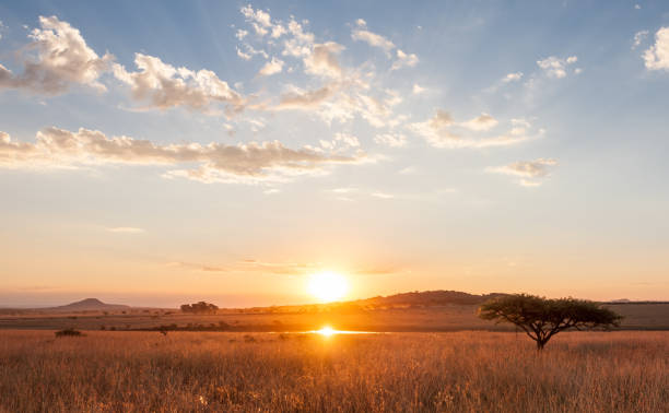 sunset over the african plains - water lake reflection tranquil scene imagens e fotografias de stock