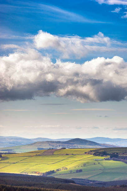 istock Landscape on the Border Between England and Scotland 683812568