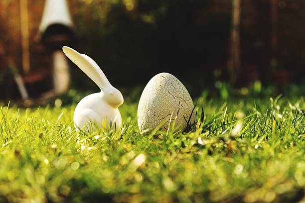 istock White Flowers On Grassy Field 683816723